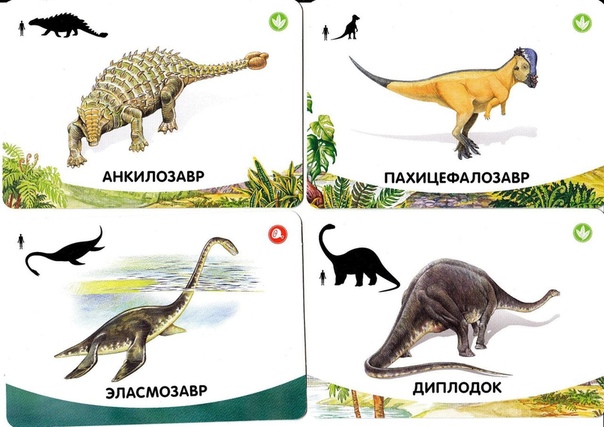 Открытки